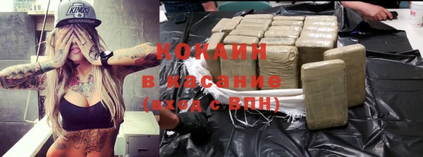 трава Осинники