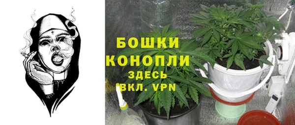 гидра Армянск