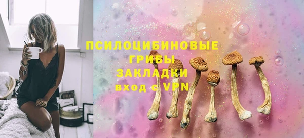 гидра Осташков