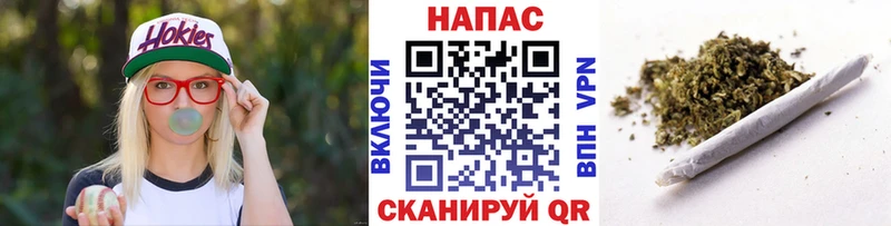 Шишки марихуана SATIVA & INDICA  где найти   Орёл 